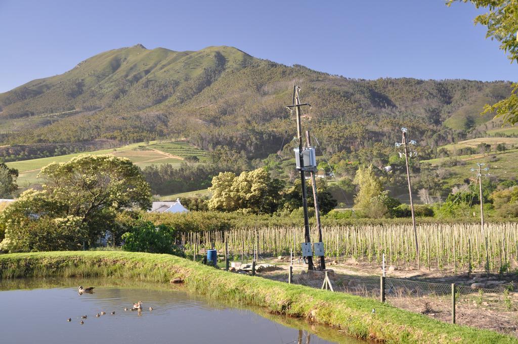 Dunstone Country House Wellington Esterno foto