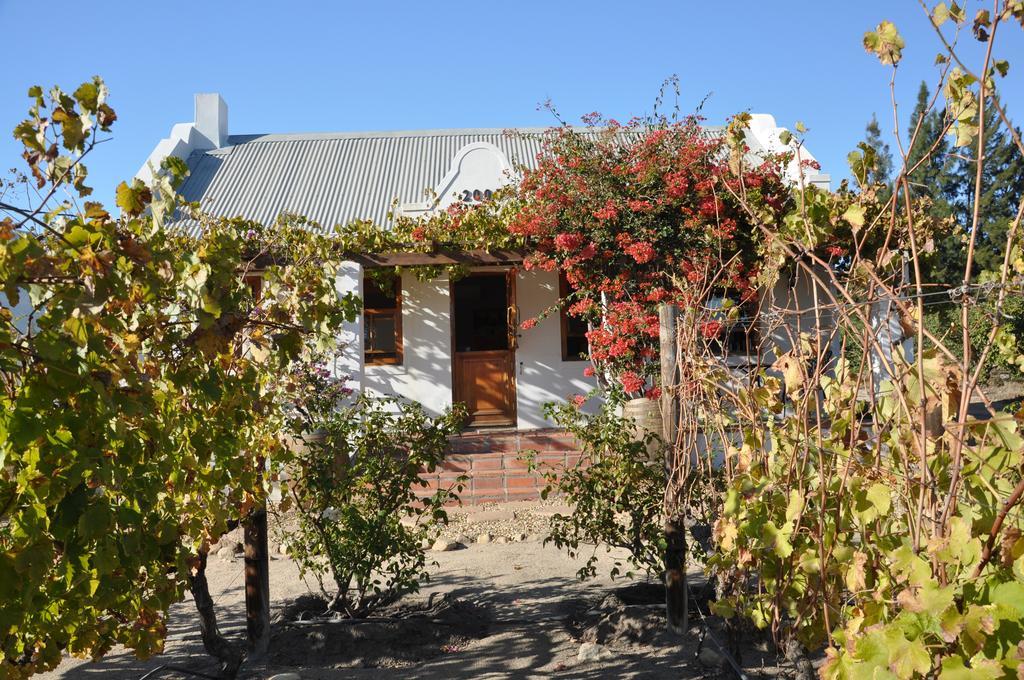 Dunstone Country House Wellington Esterno foto