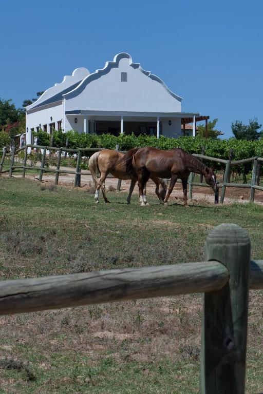 Dunstone Country House Wellington Esterno foto